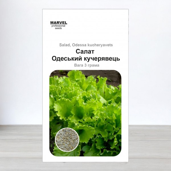 Семена Салата Одесский кучерявец (Украина), 3000-3200 семян (3 г)